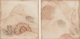 ELIOS Inzerto Mithos brige/cotto 10x10cm (1set/bal)